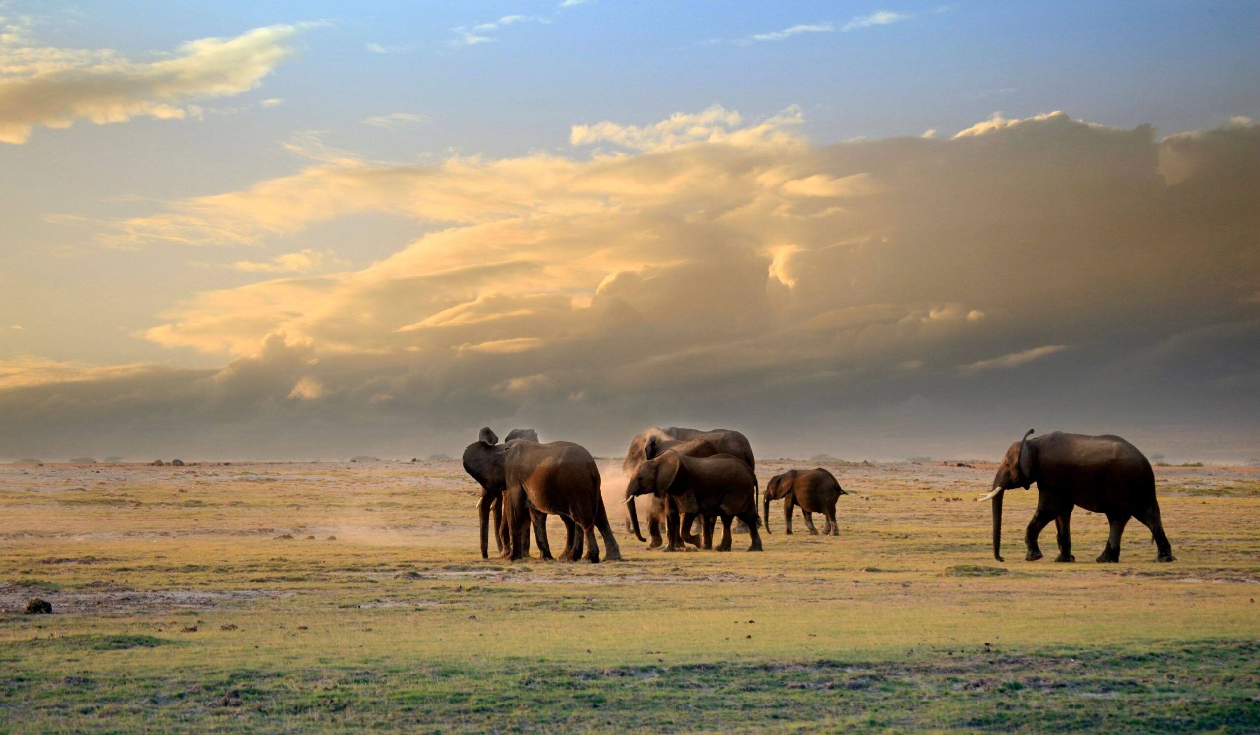 Amboseli National Park