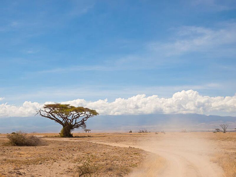 Drive to the Masai Mara National Reserve to accommodations outside the park