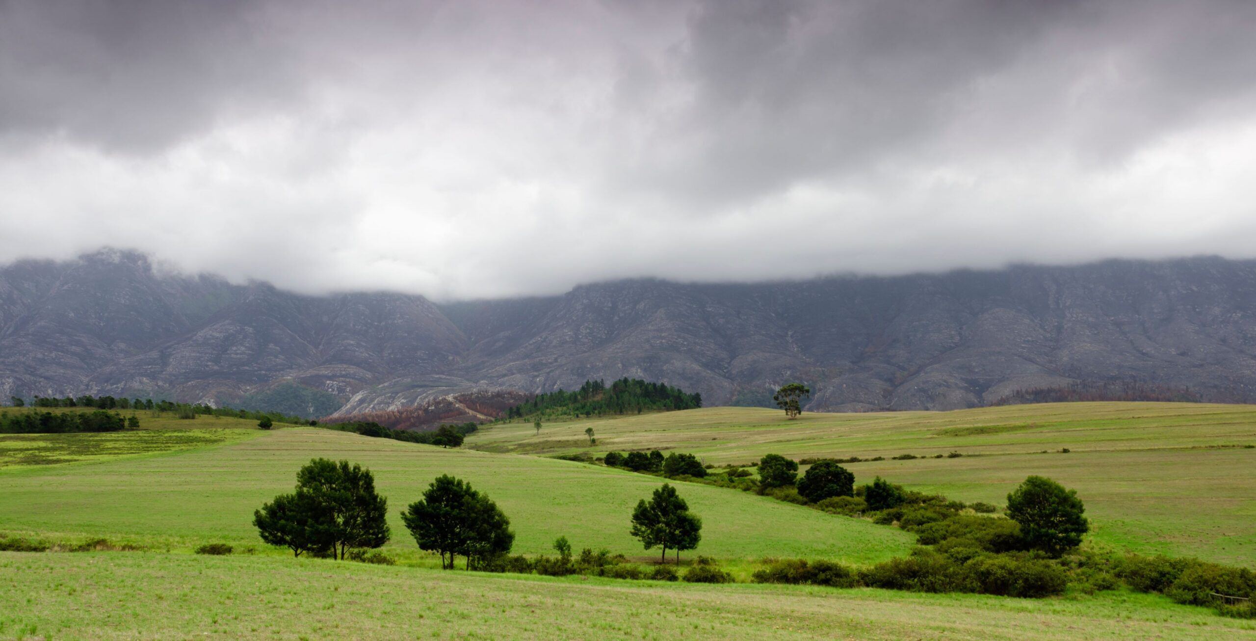 Drive from Cape Town to Swellendam