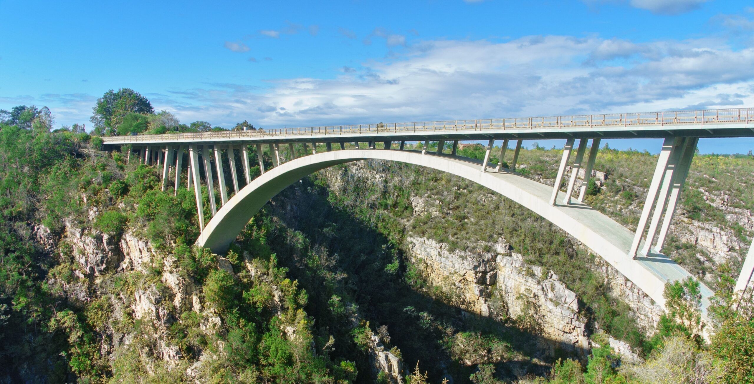 Drive from Plettenberg Bay to Tsitsikamma