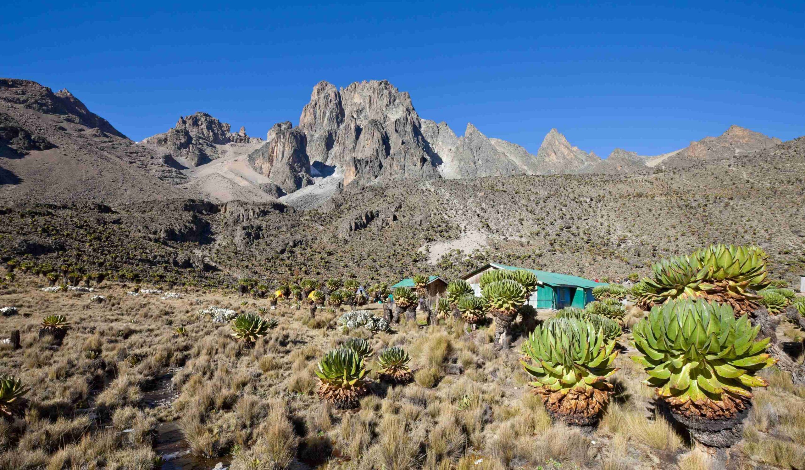 Mount Kenya via de Sirimon Route (3/5) | Acclimatization day at Shipton's Camp (4,200 m/13,779 ft)