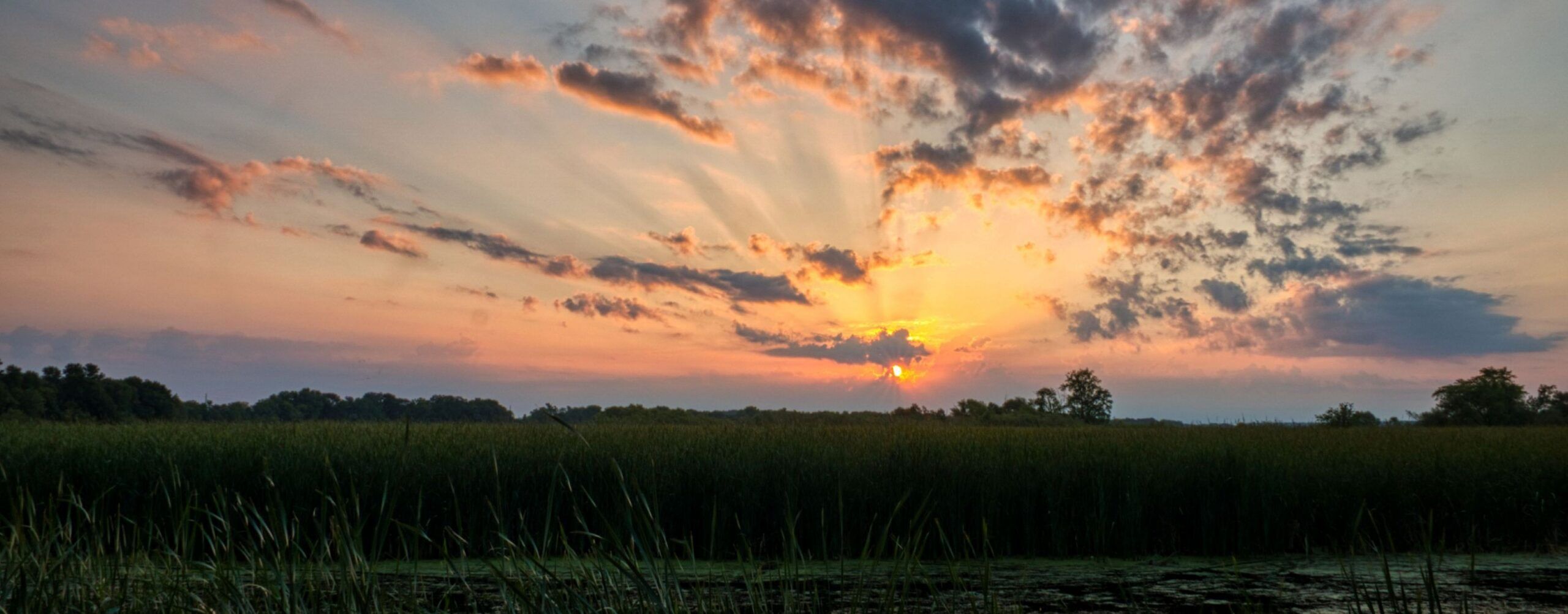 Drive from the Khwai Community Concession to Kasane