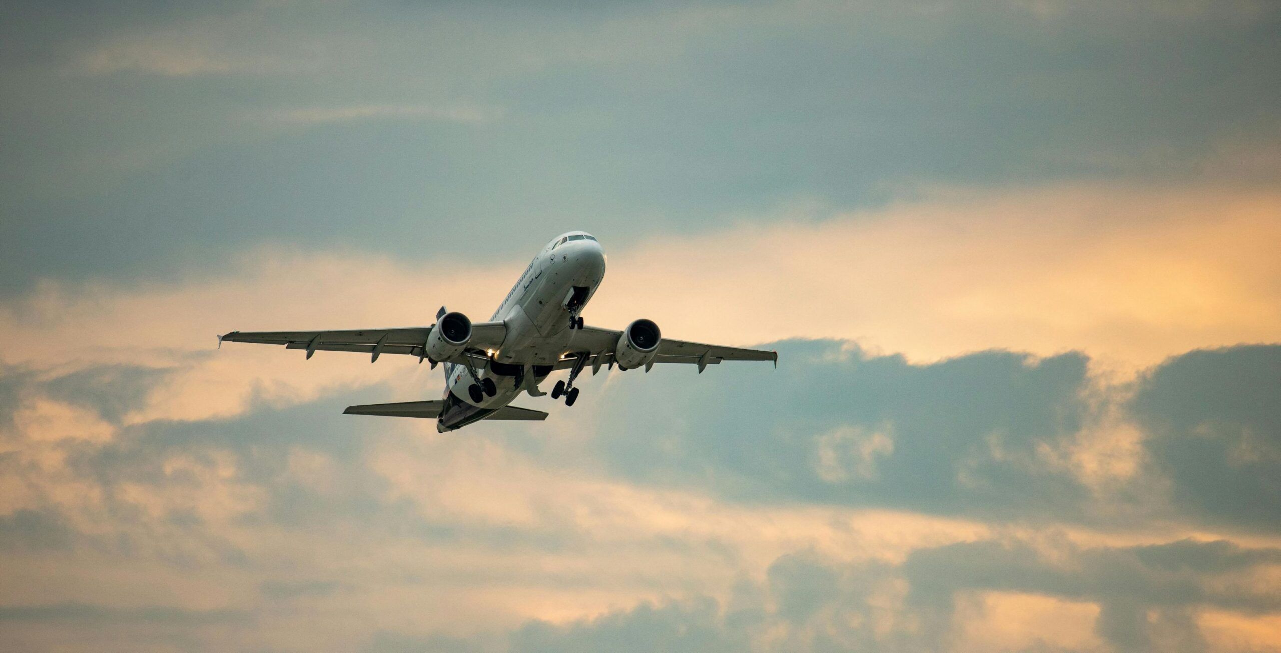 Flight home from Nairobi (not included in the price)