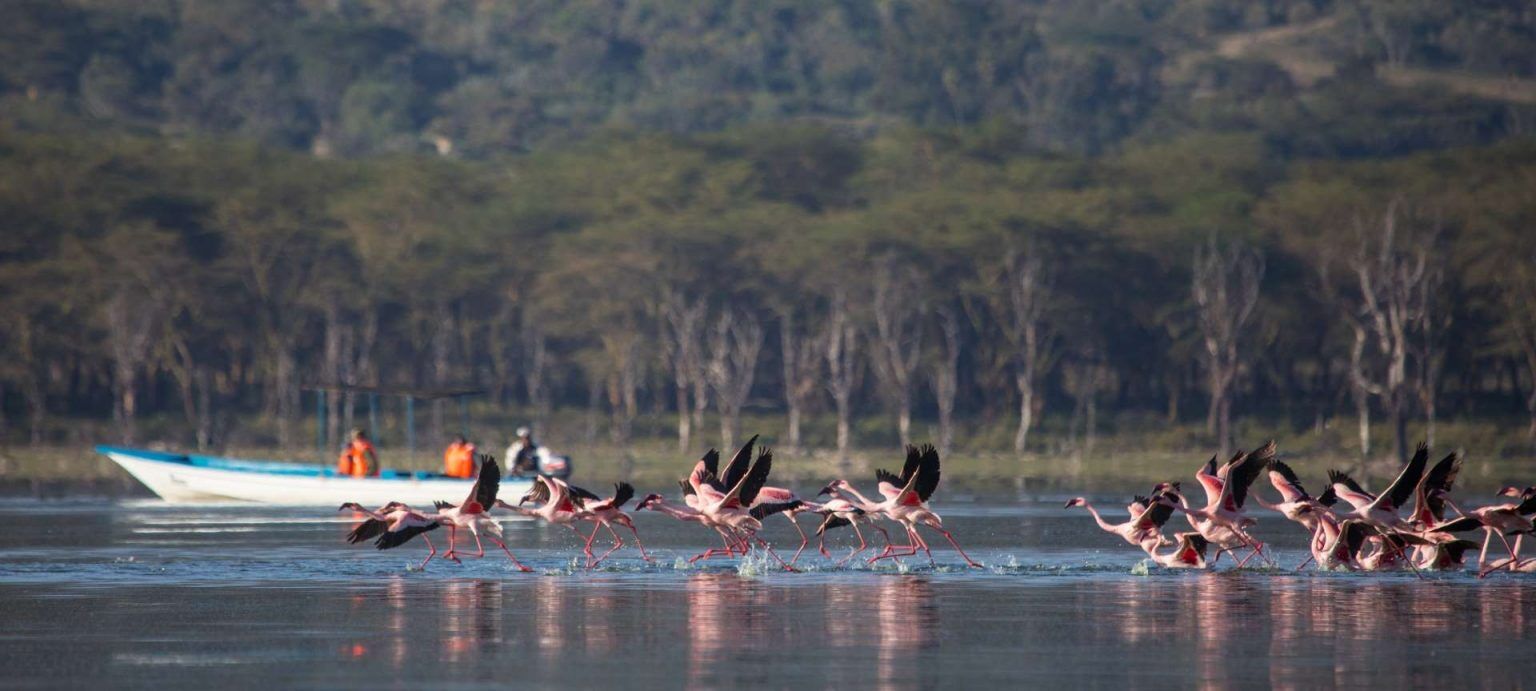 Lake Naivasha