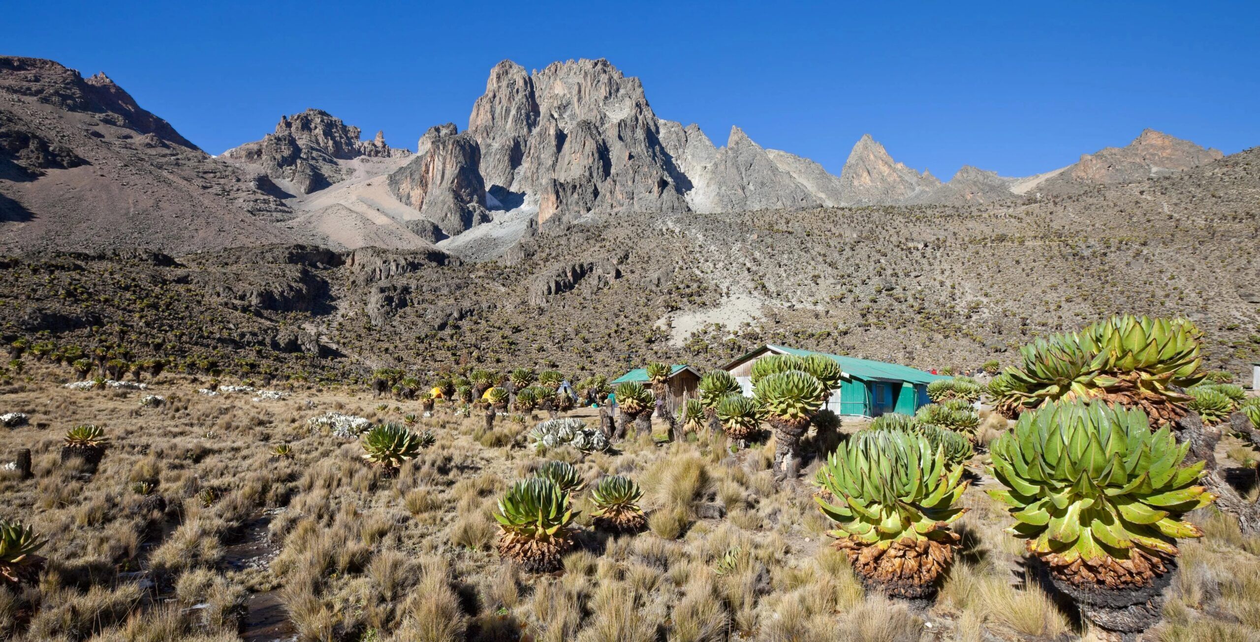 Mount Kenya via de Sirimon Route (2/5) | Old Moses Camp (3,340 m/10,958 ft) - Shipton's Camp (4,200 m/13,779 ft)