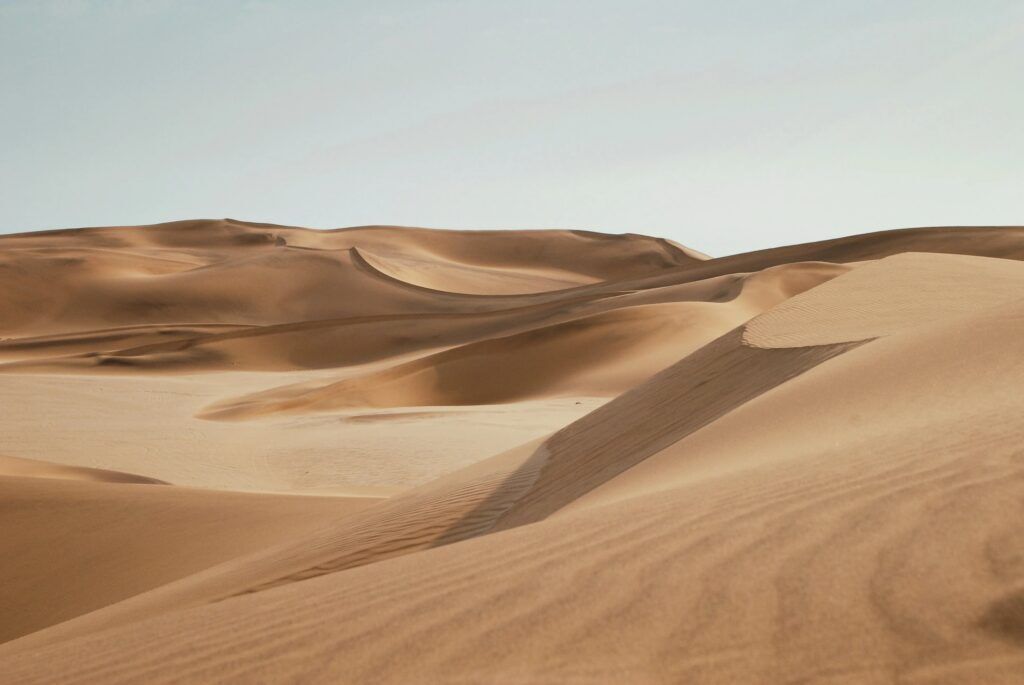 Rolling dunes of the Namib desert