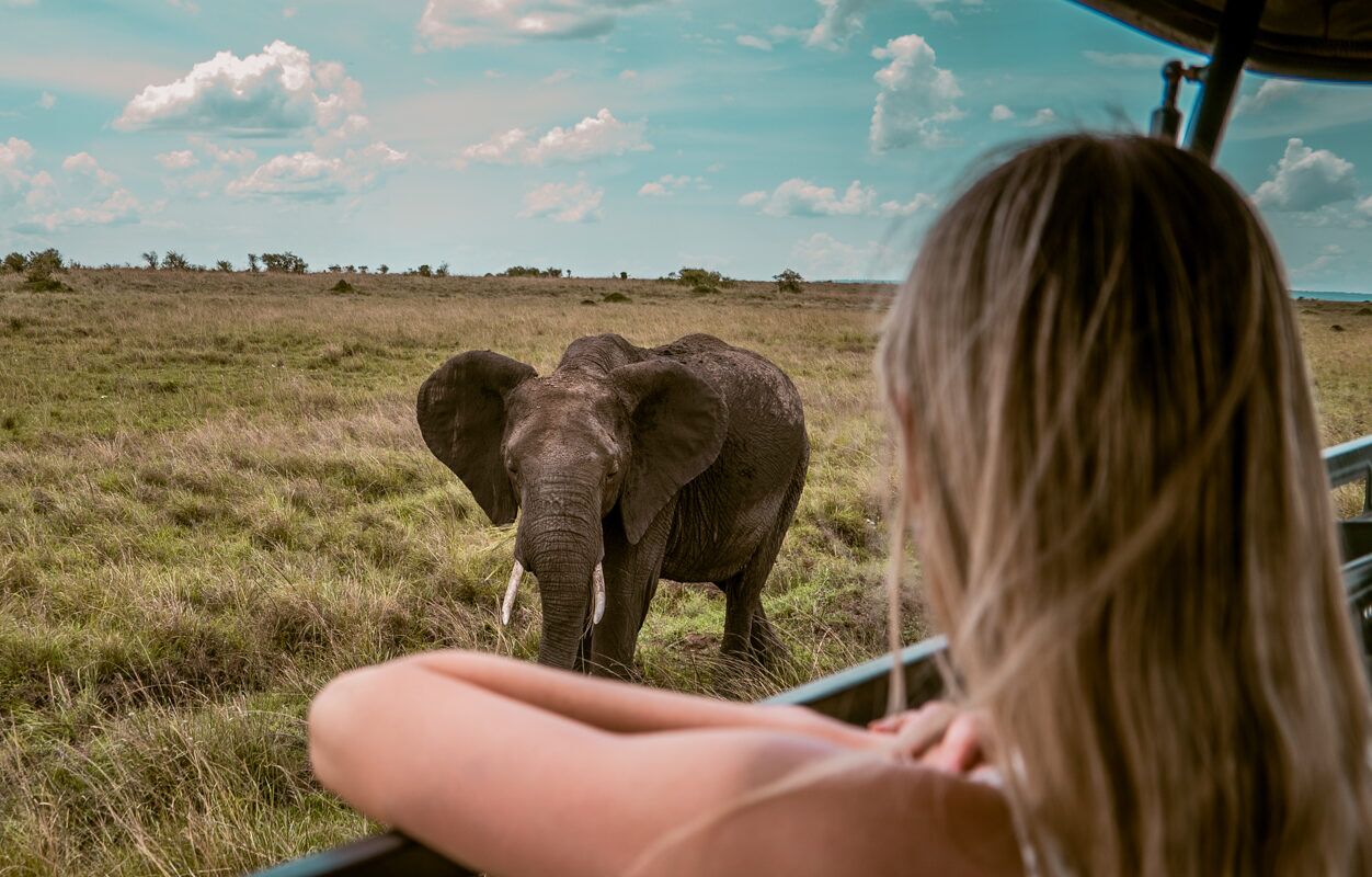 Woman looking at an elephant and out of a safari jeep in Kenya's Masai Mara