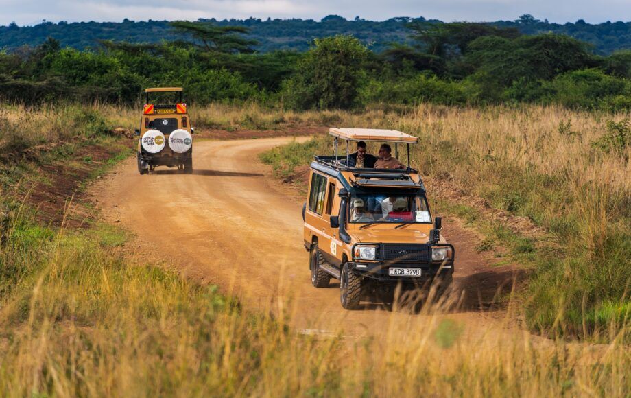 Two safari jeeps going in opposite directions with an open roof, grass on each side of the road and green hills in the background. One jeep has wheel covers with the logos of Africa Safari Trips and Tanzania Specialist