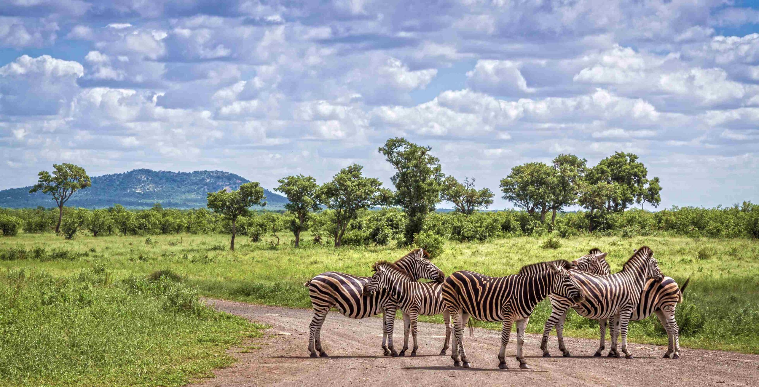 Kruger National Park