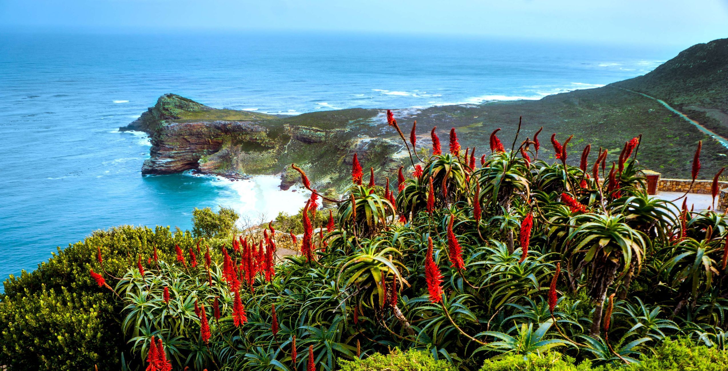 Visit the Cape of Good Hope and Cape Point Section of Table Mountain National Park