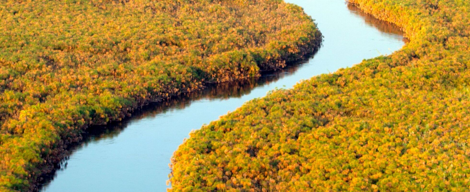 Okavango delta