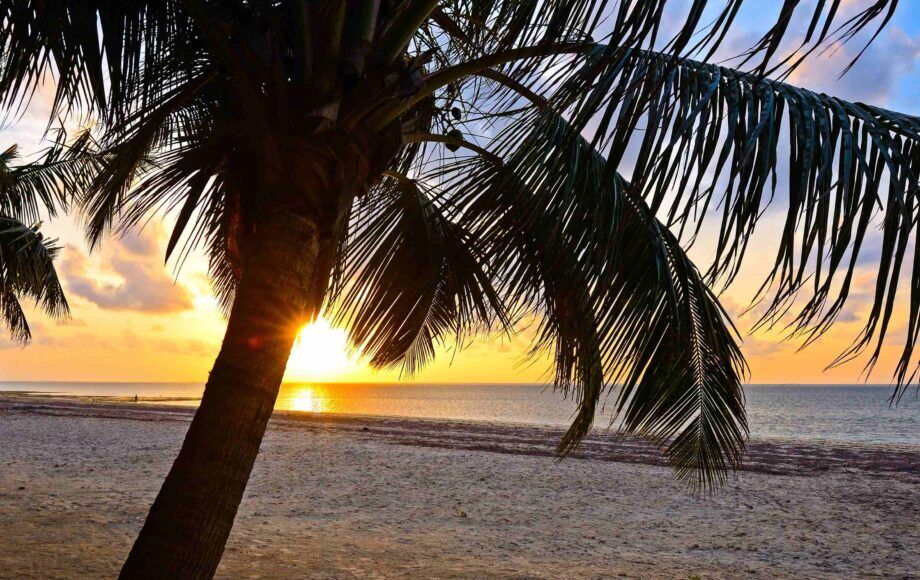 Sandy Diani Beach with sunset and palm tree