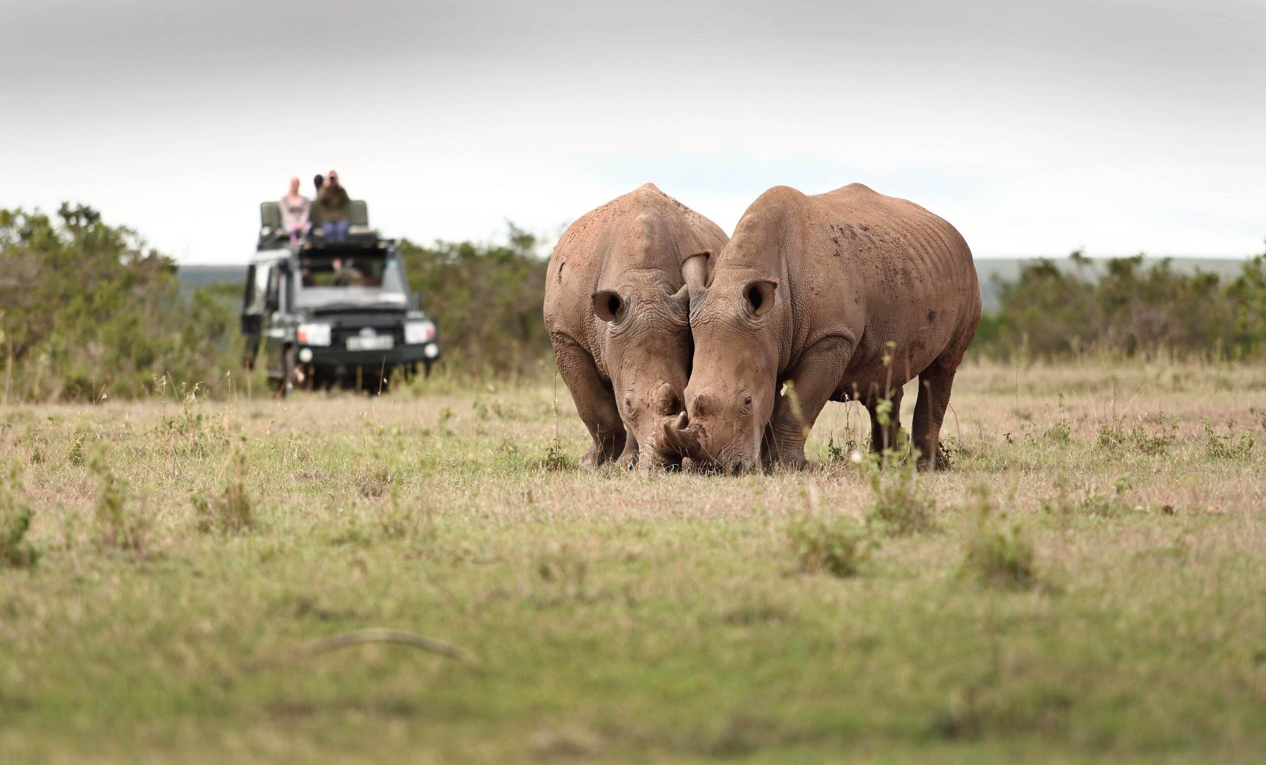 Solio Game Reserve