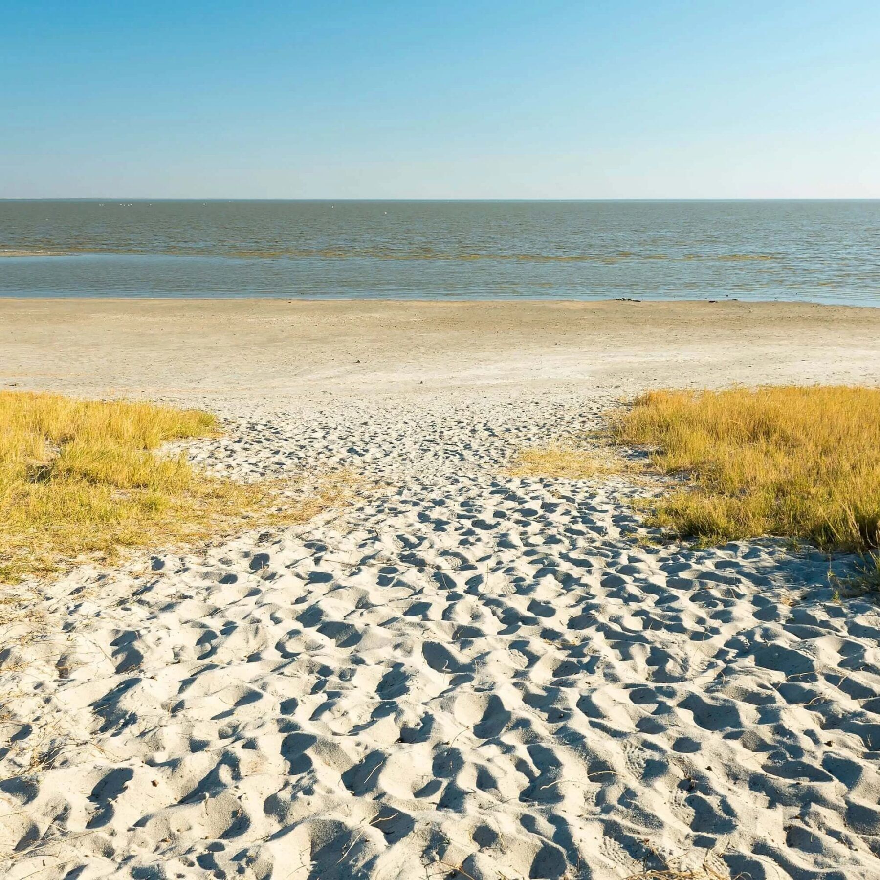 Sandy way leading down to the water of Makgadikgadi Pans National Park